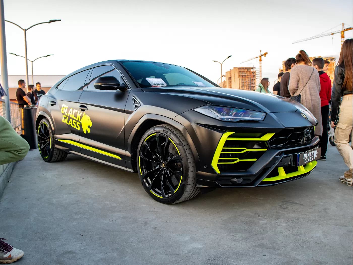 crna saten nikola urus