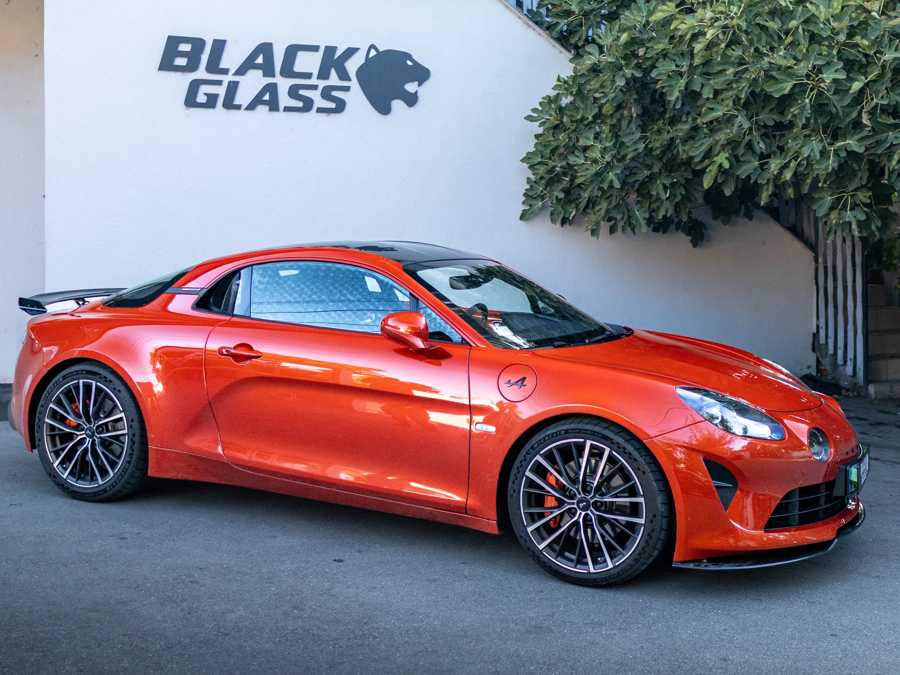 Zaštitna folija - Alpine 110s